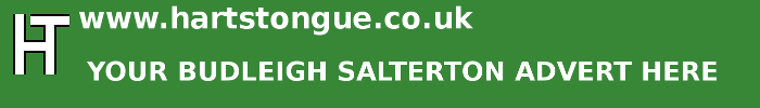 Budleigh Salterton: Your Advert Here