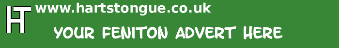 Feniton: Your Advert Here