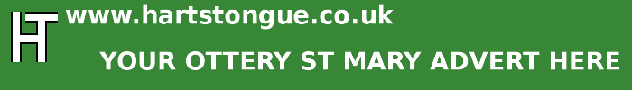 Ottery St Mary: Your Advert Here