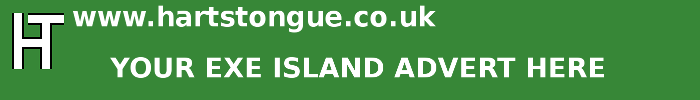 Exe Island: Your Advert Here