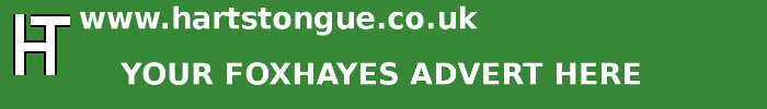 Foxhayes: Your Advert Here