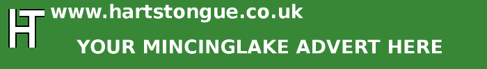 Mincinglake: Your Advert Here