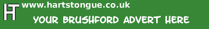 Brushford: Your Advert Here