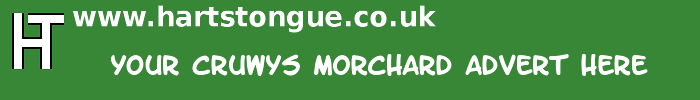 Cruwys Morchard: Your Advert Here