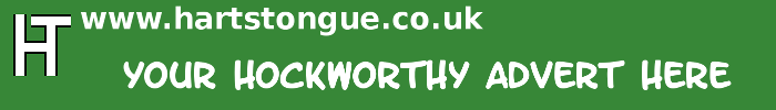 Hockworthy: Your Advert Here