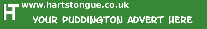 Puddington: Your Advert Here