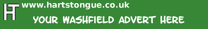 Washfield: Your Advert Here