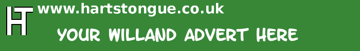 Willand: Your Advert Here