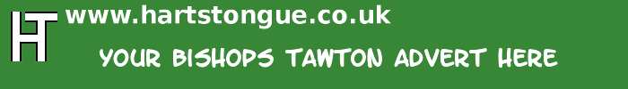 Bishops Tawton: Your Advert Here