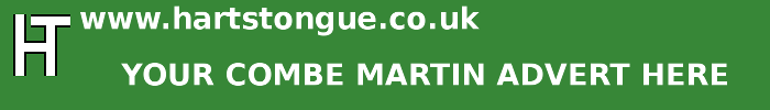 Combe Martin: Your Advert Here