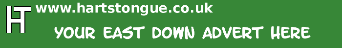 East Down: Your Advert Here