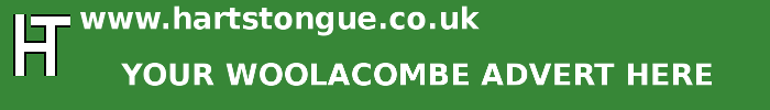 Woolacombe: Your Advert Here