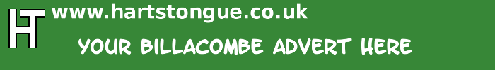 Billacombe: Your Advert Here