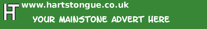 Mainstone: Your Advert Here