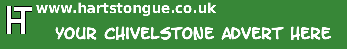 Chivelstone: Your Advert Here