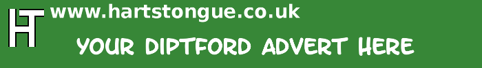 Diptford: Your Advert Here