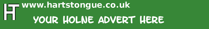 Holne: Your Advert Here