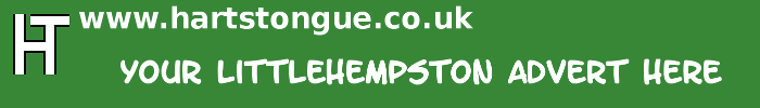 Littlehempston: Your Advert Here