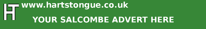 Salcombe: Your Advert Here