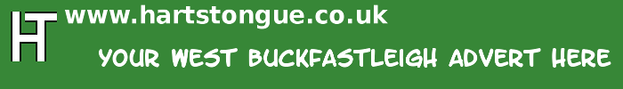 West Buckfastleigh: Your Advert Here