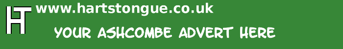 Ashcombe: Your Advert Here