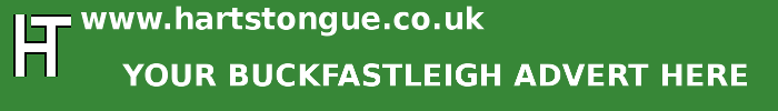 Buckfastleigh: Your Advert Here