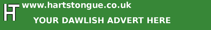 Dawlish: Your Advert Here