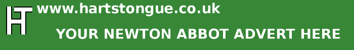Newton Abbot: Your Advert Here
