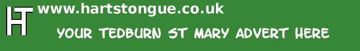 Tedburn St Mary: Your Advert Here