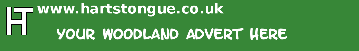 Woodland: Your Advert Here