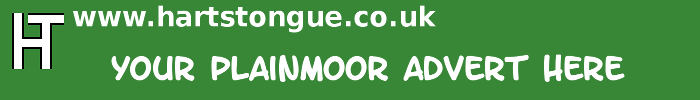 Plainmoor: Your Advert Here