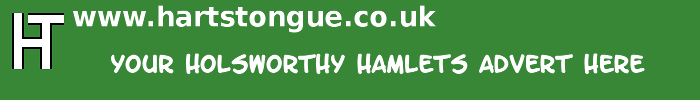 Holsworthy Hamlets: Your Advert Here