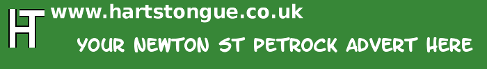 Newton St Petrock: Your Advert Here
