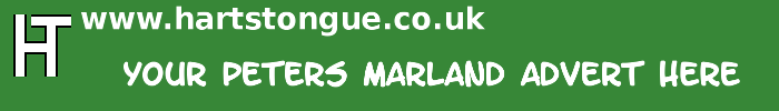 Peters Marland: Your Advert Here