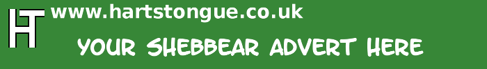 Shebbear: Your Advert Here