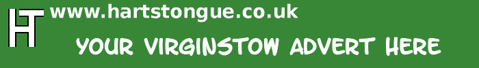Virginstow: Your Advert Here