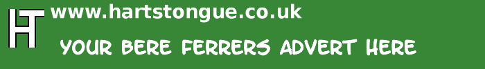 Bere Ferrers: Your Advert Here