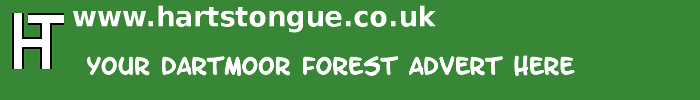 Dartmoor Forest: Your Advert Here