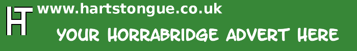 Horrabridge: Your Advert Here
