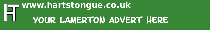 Lamerton: Your Advert Here
