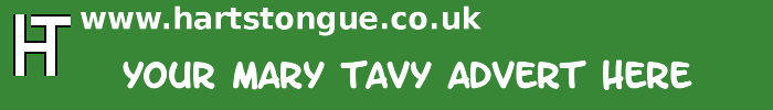 Mary Tavy: Your Advert Here