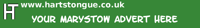 Marystow: Your Advert Here