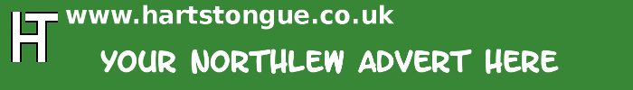 Northlew: Your Advert Here