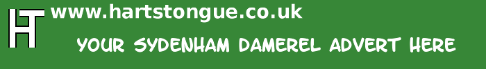Sydenham Damerel: Your Advert Here